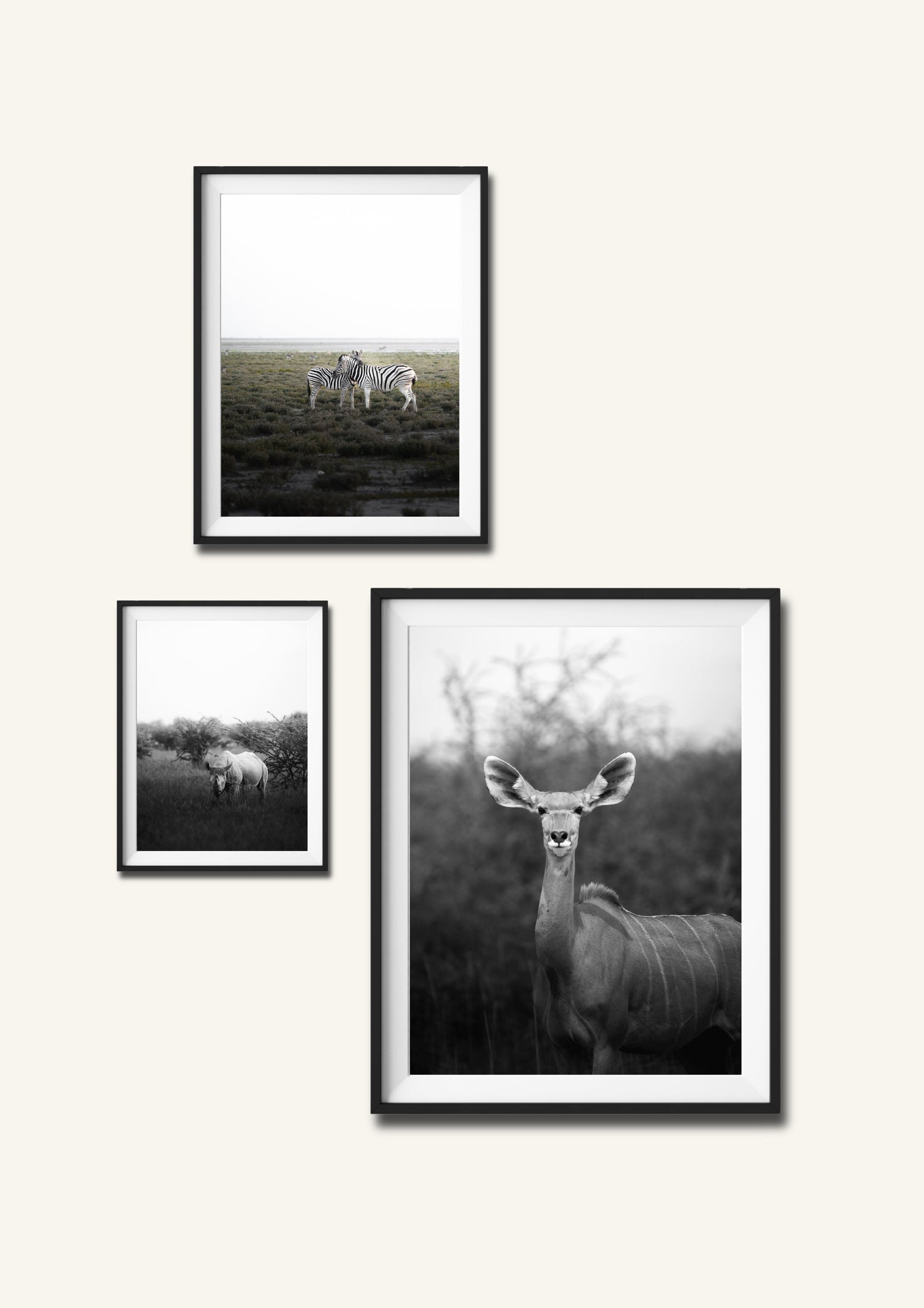 African Wilderness