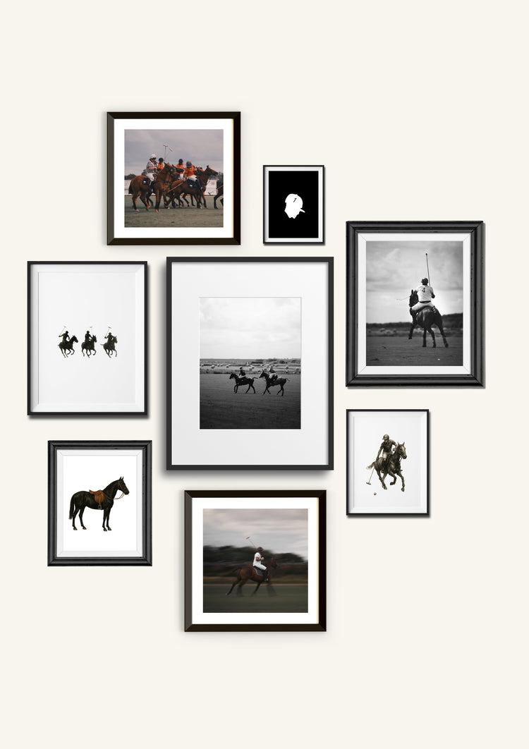 Polo Signature Series