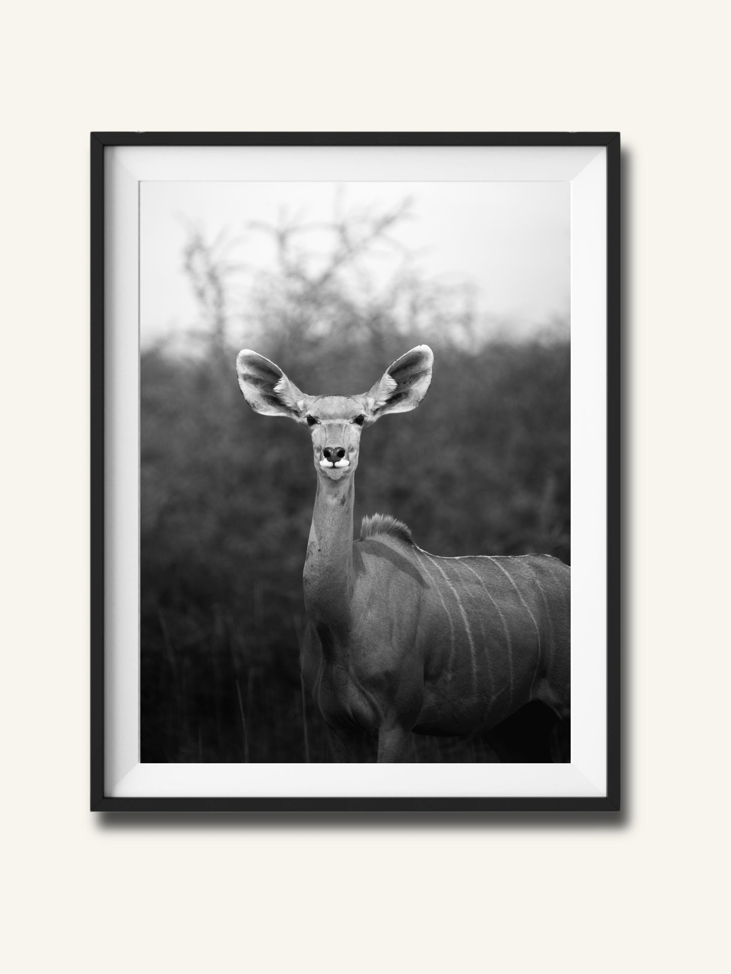 Kudu