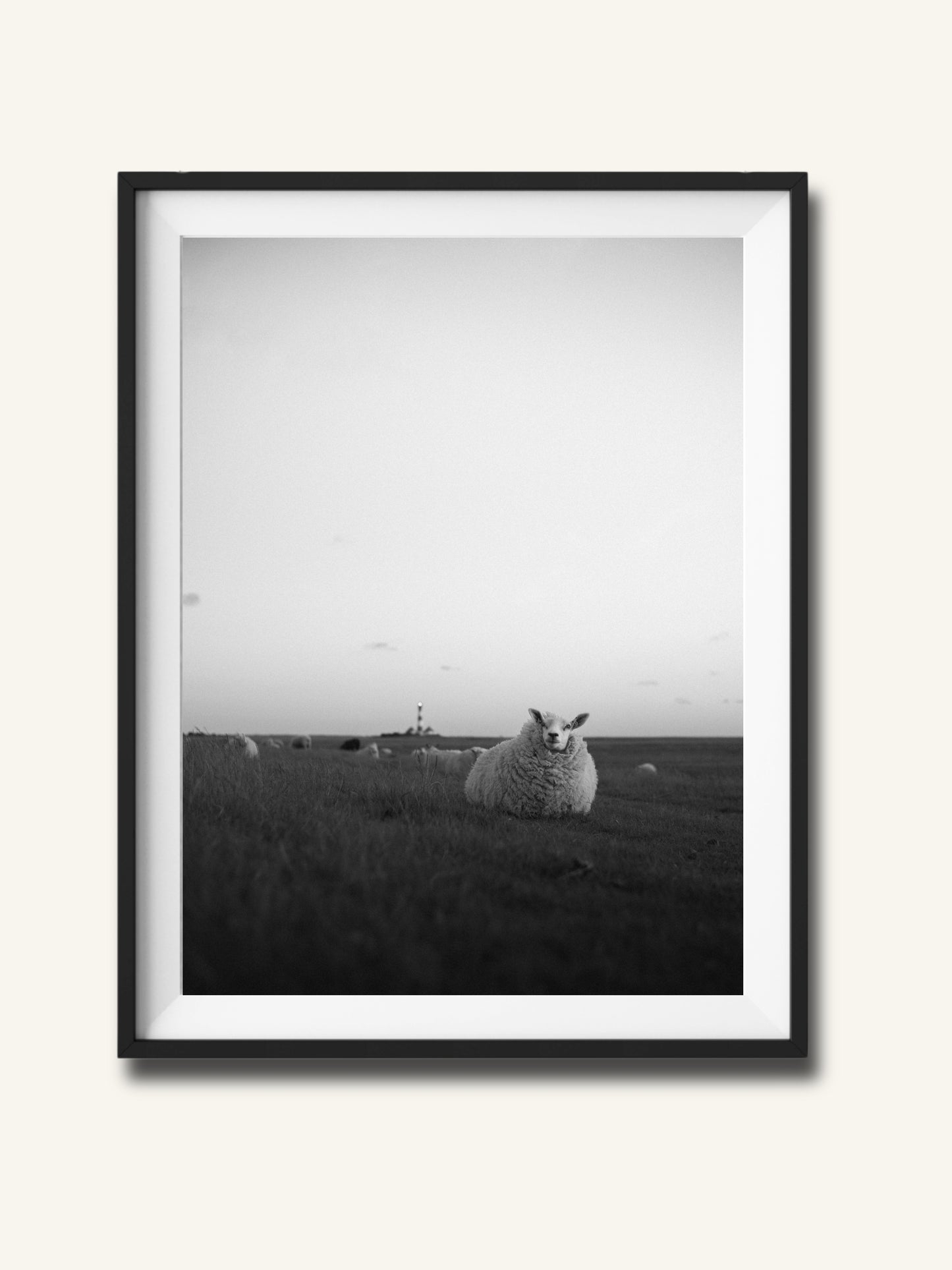 Das Schaf vorm Leuchtturm