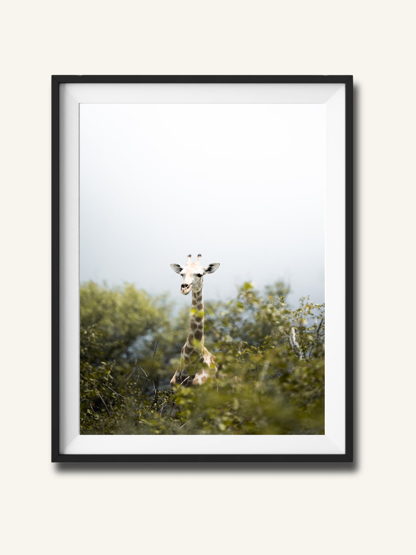 Giraffe im Busch