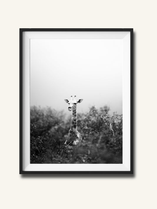 Giraffe im Busch